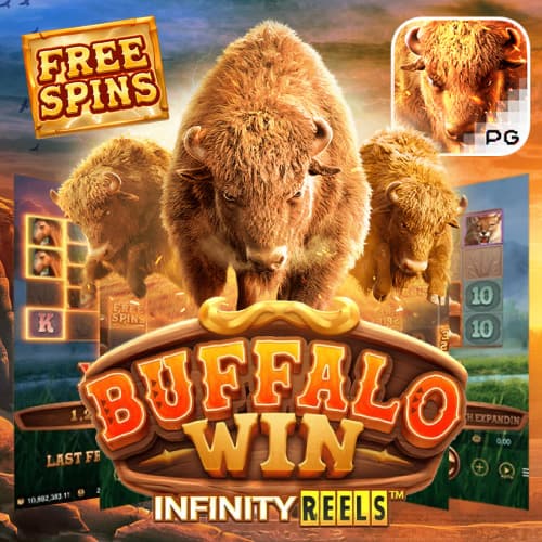Buffalo-Win-01.jpg